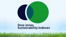 Launched in 1999, the DJSI was the first global index to track leading sustainability-driven companies